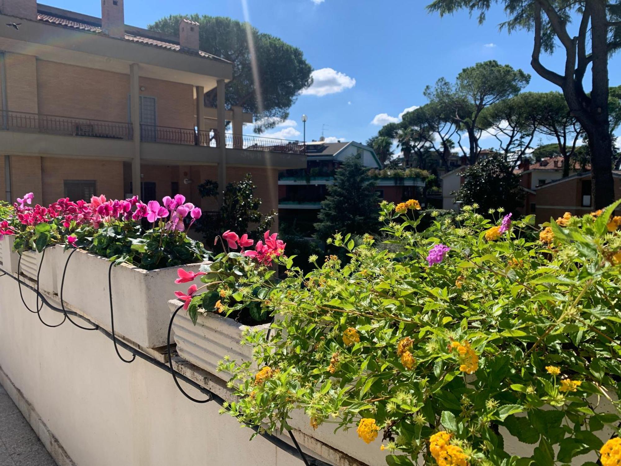 Villa Orsini Rome Exterior photo